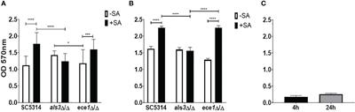 Investigating the Transcriptome of Candida albicans in a Dual-Species Staphylococcus aureus Biofilm Model